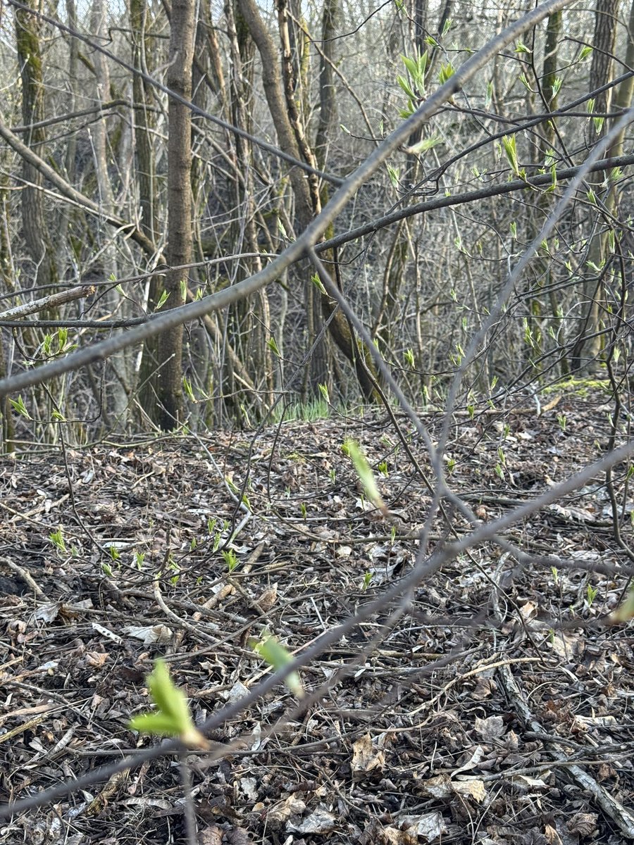 Вже весна, друзі