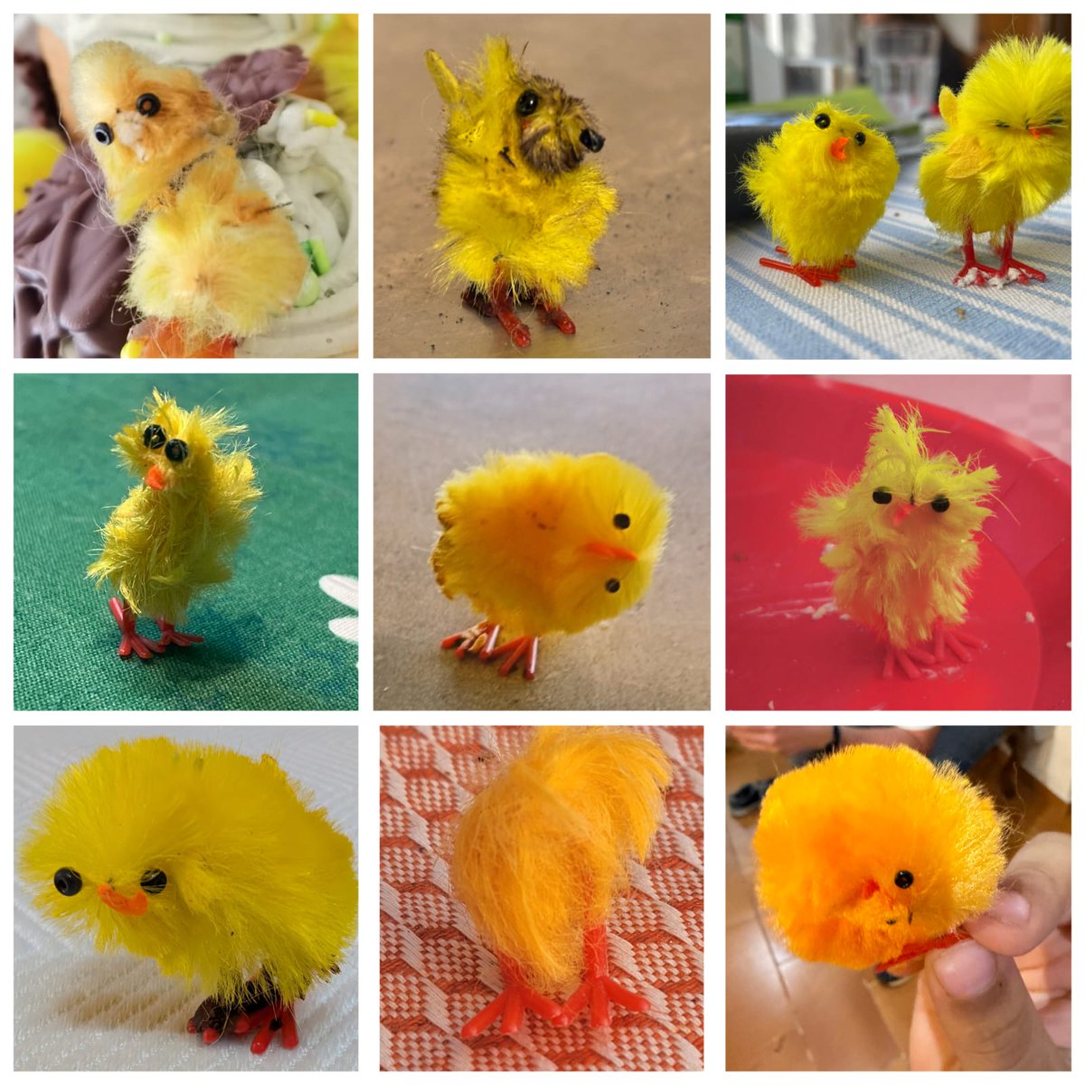 Aina Soler tweet media