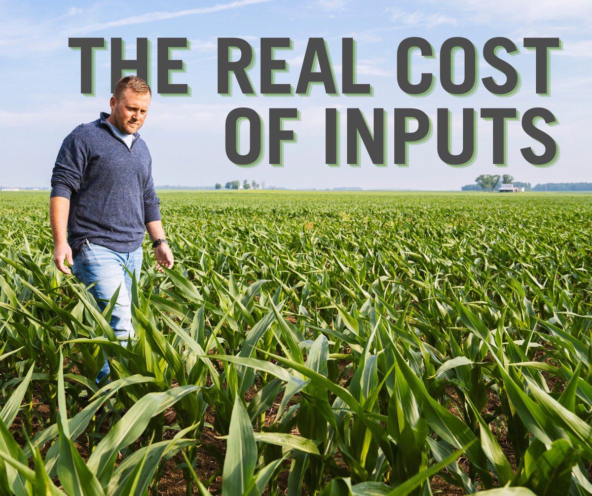 National Corn (NCGA) tweet media