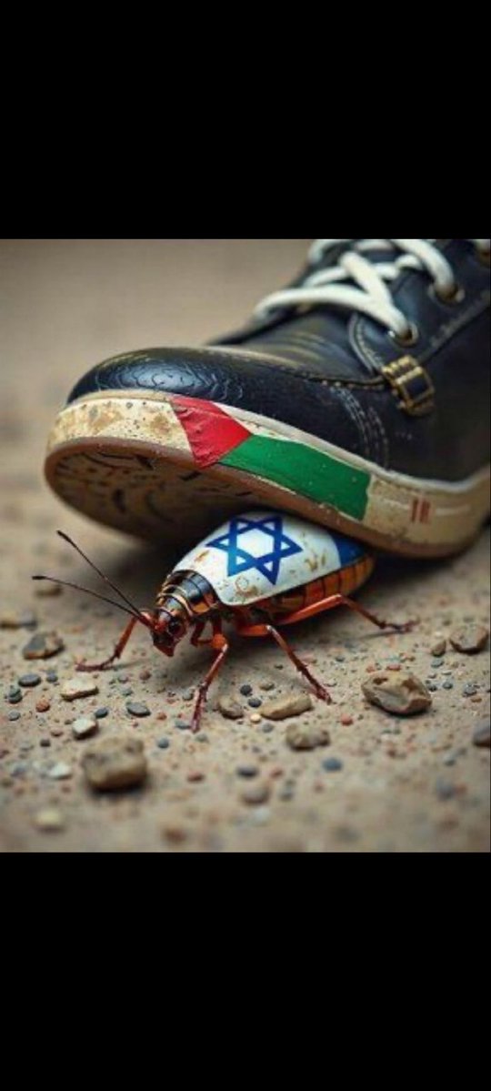 🇲🇽 R B K 🇲🇽 tweet media