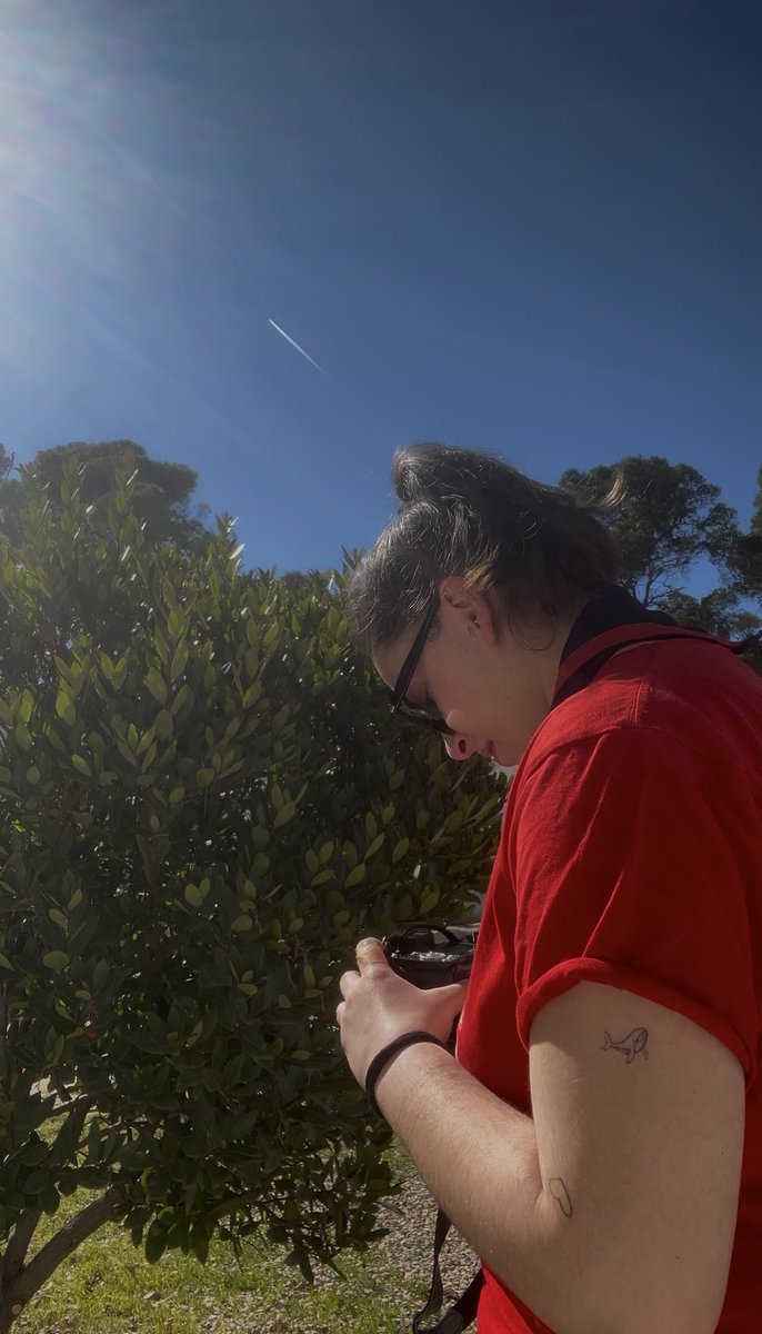 a vegades una tia a soles necessita uns dies de vacances, una cafetera italiana i dormir clavant-se pedres a l’esquena per a ser feliç