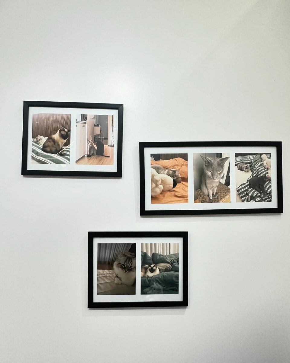 FernieFern tweet media