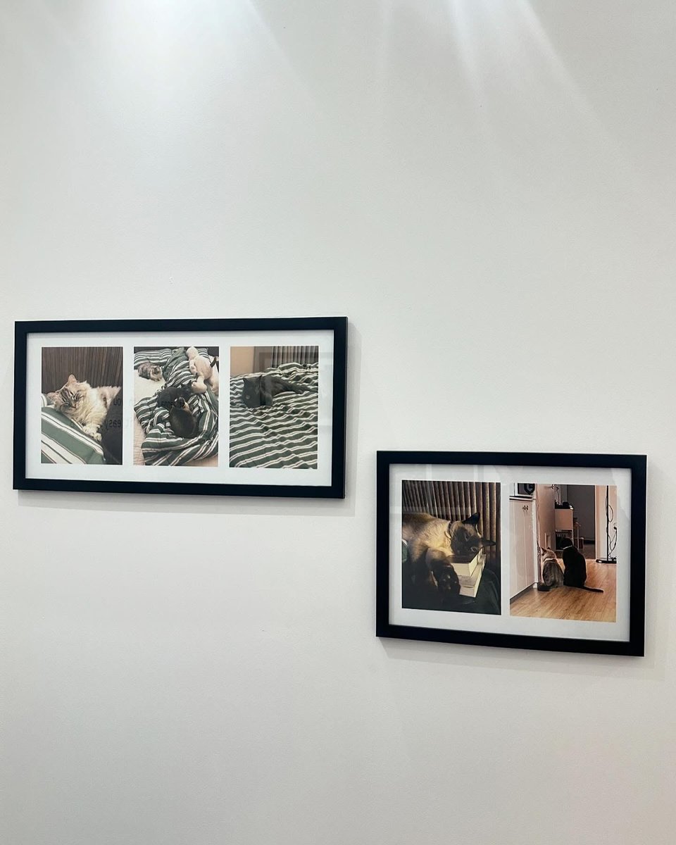 FernieFern tweet media