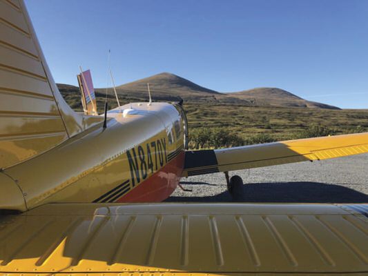 Piper Flyer tweet media