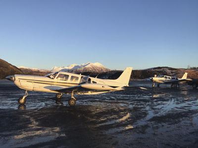 Piper Flyer tweet media