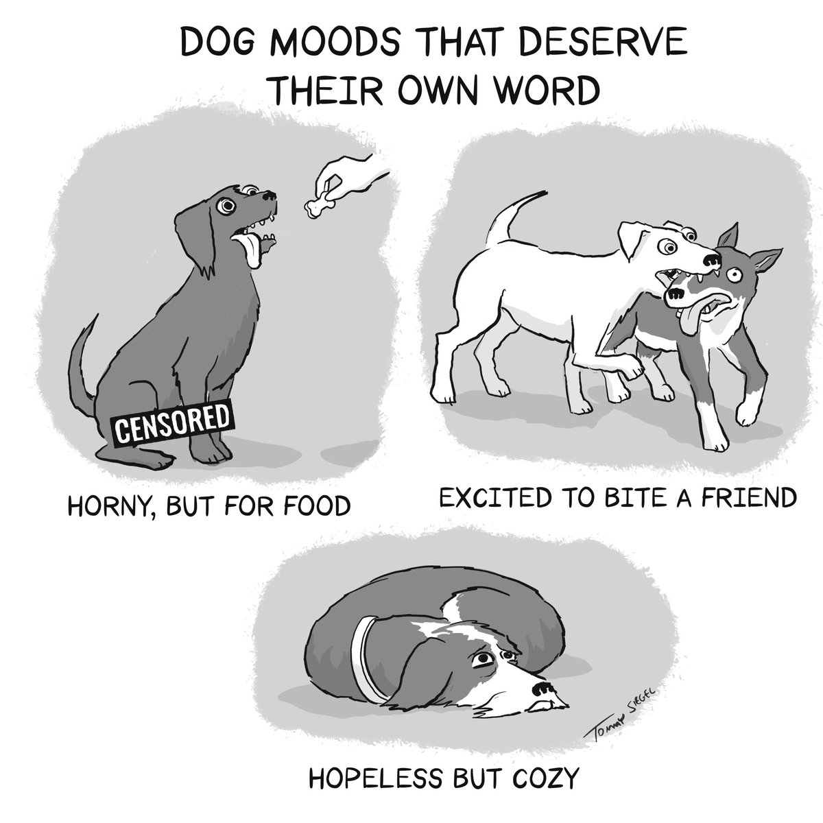 Tommy Siegel tweet media