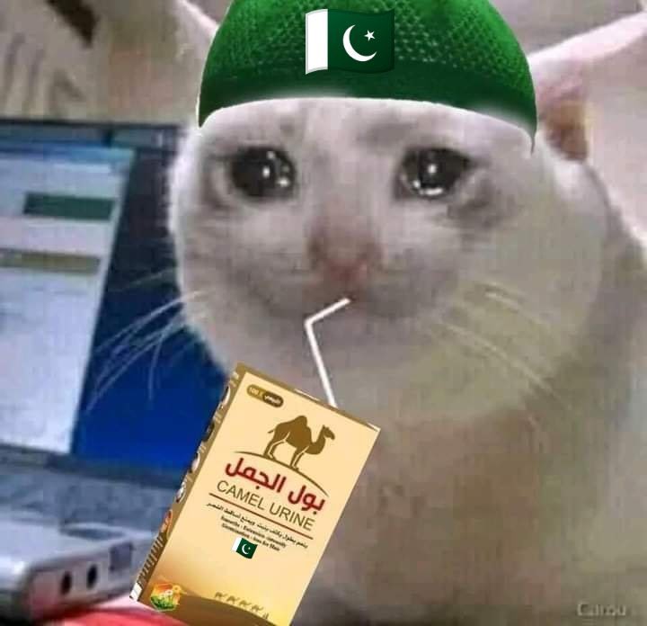 BLACK TIGER tweet media