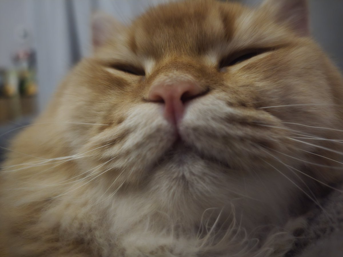 🍪COOKIE🍪 (allabout_WoodSJ) tweet media