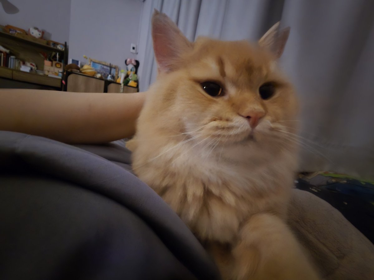 🍪COOKIE🍪 (allabout_WoodSJ) tweet media