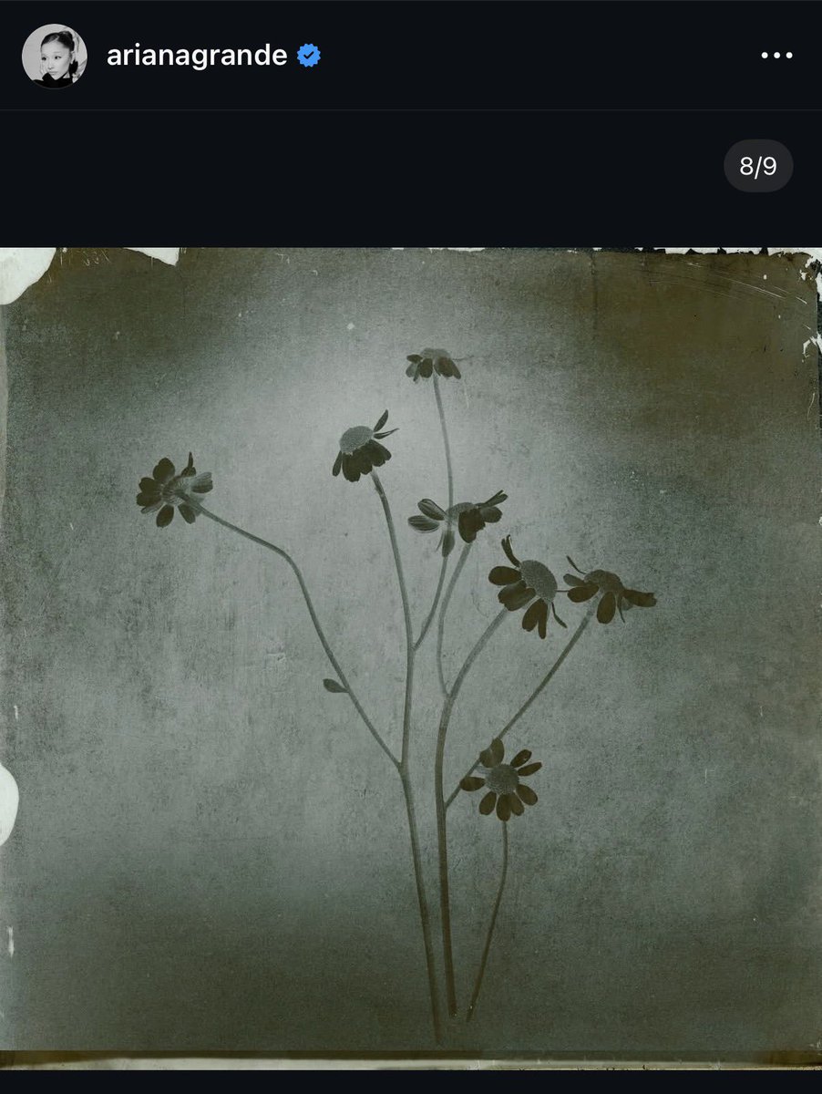 Bryce ☆▷ tweet media