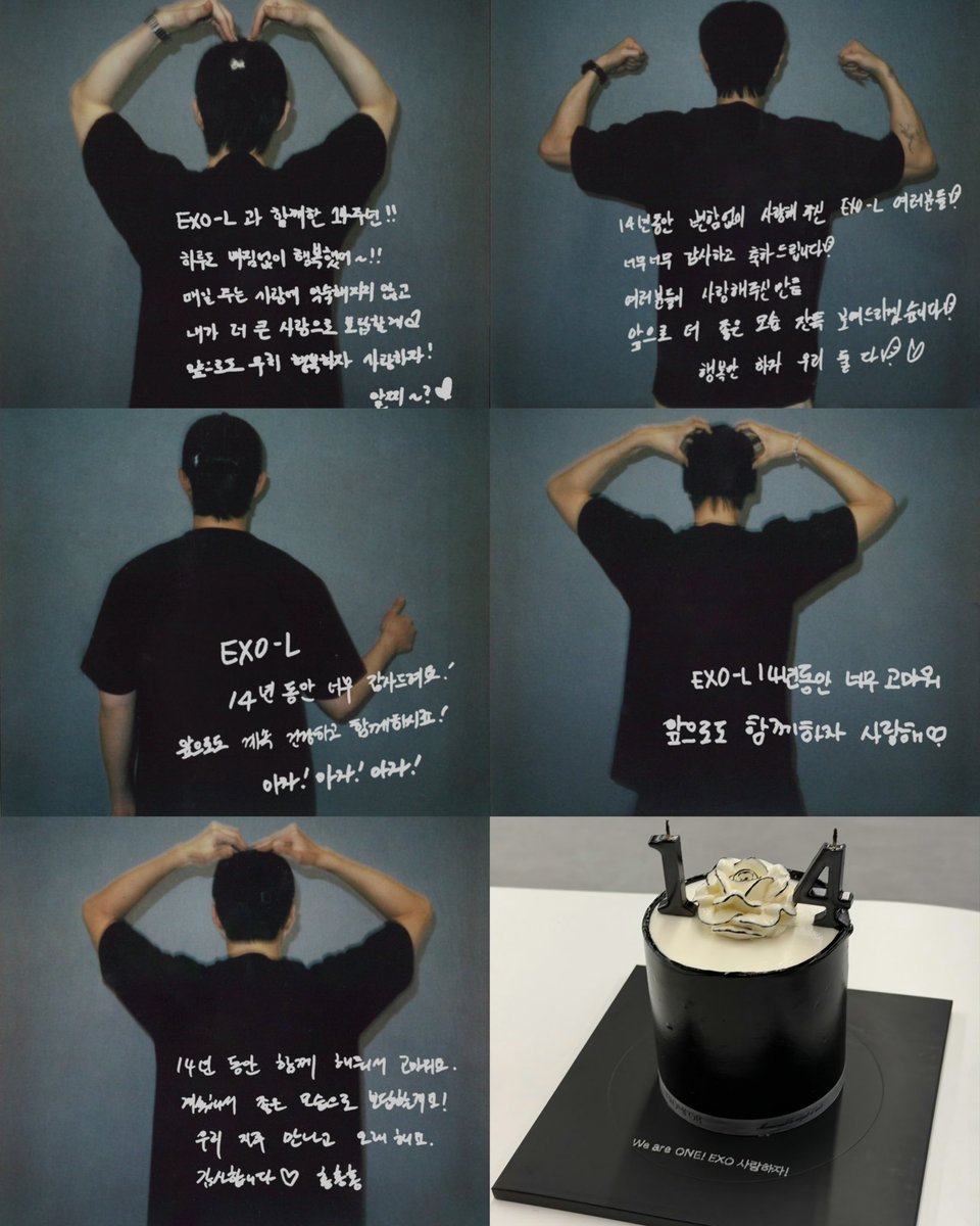 metaforaya tweet media