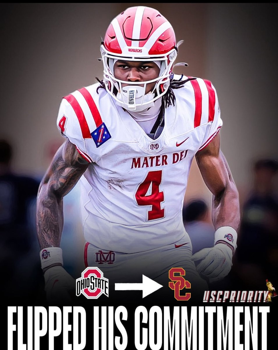 Zoo_Loose 🦁🦍🐻🐃🐺🦅 tweet media