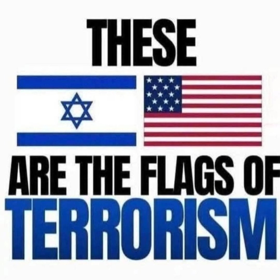 Sibila Mello 🚩♥️ tweet media