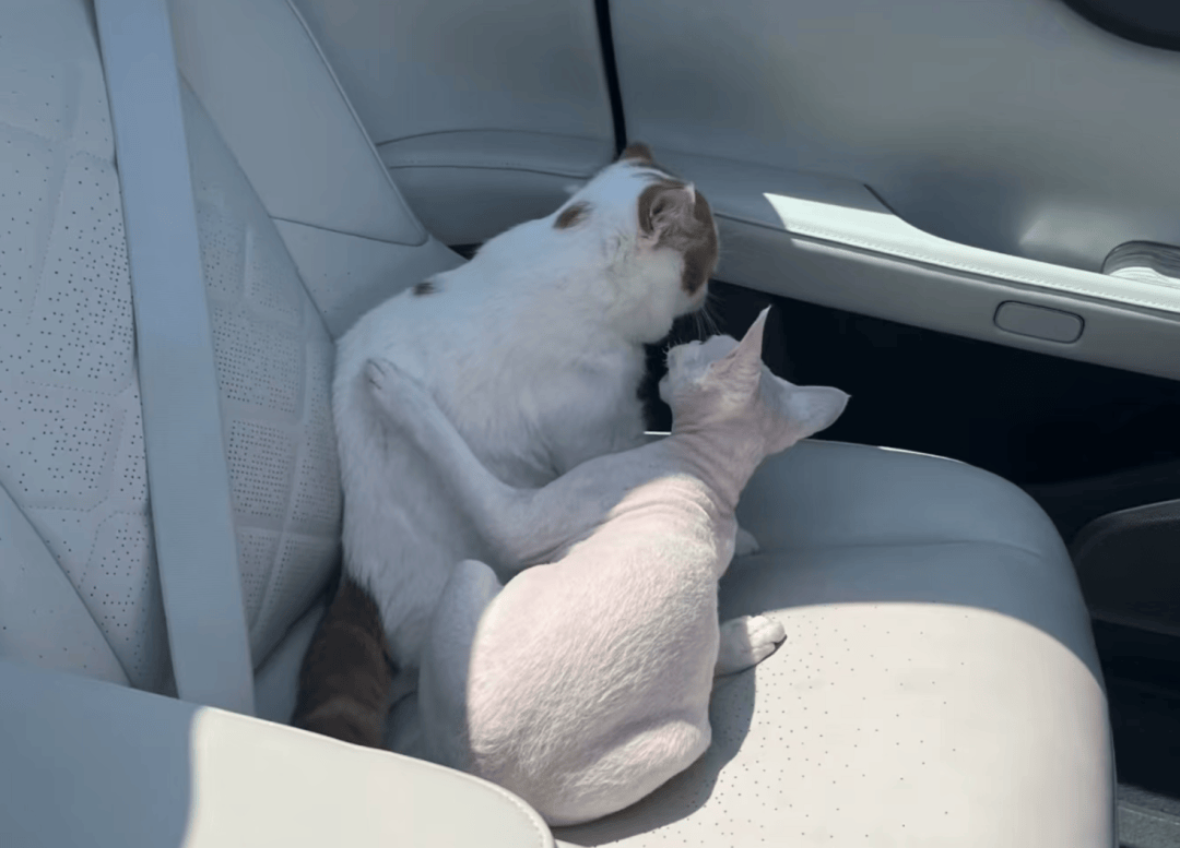 daniel st.julien tweet media