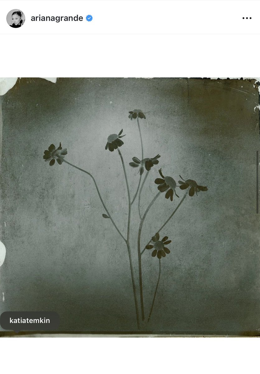 Grande Tour News tweet media