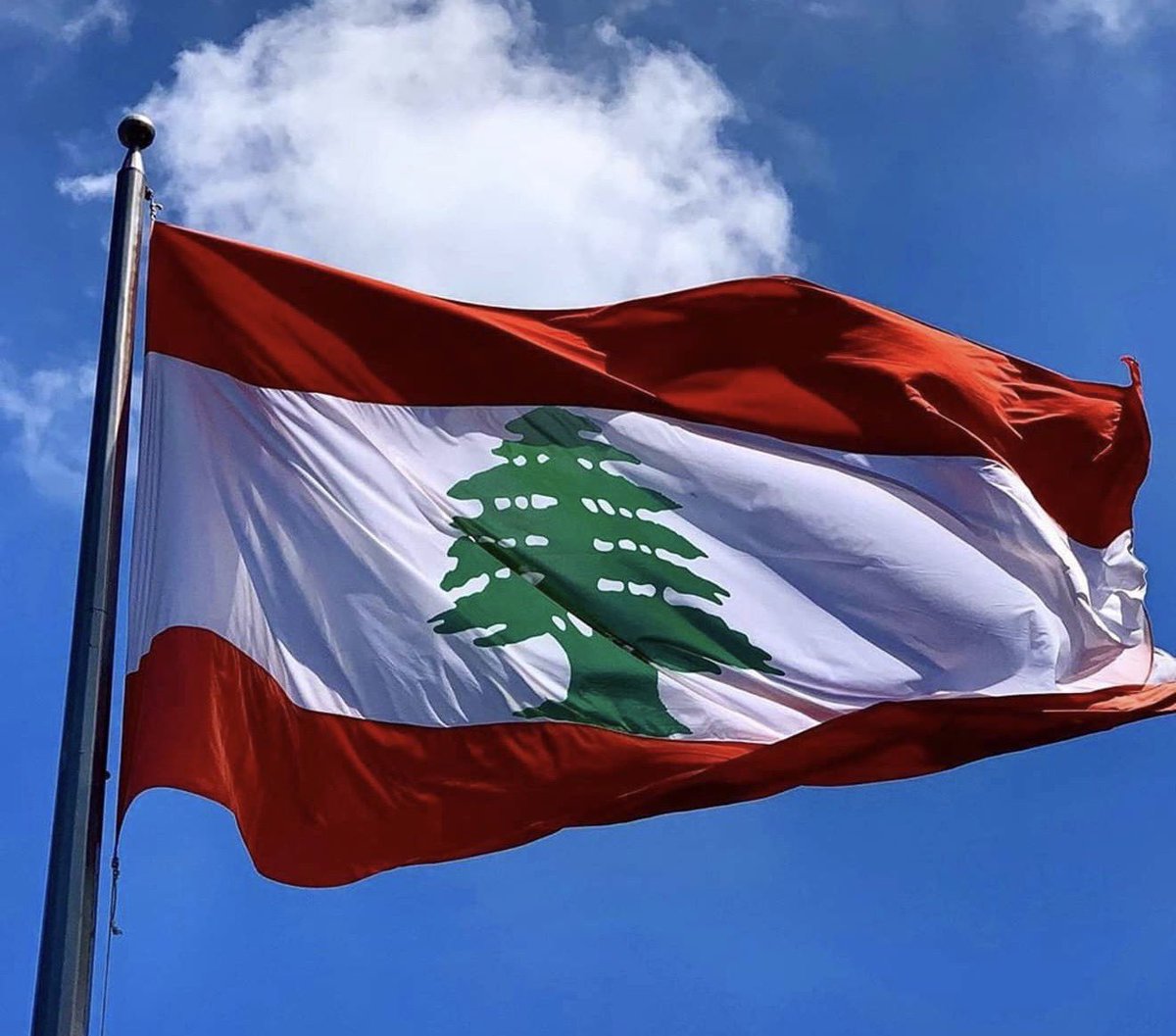 The Saviour tweet media