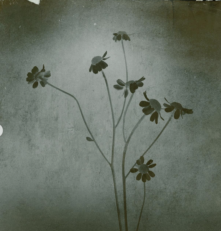 Ariana Grande Philippines ☼ tweet media