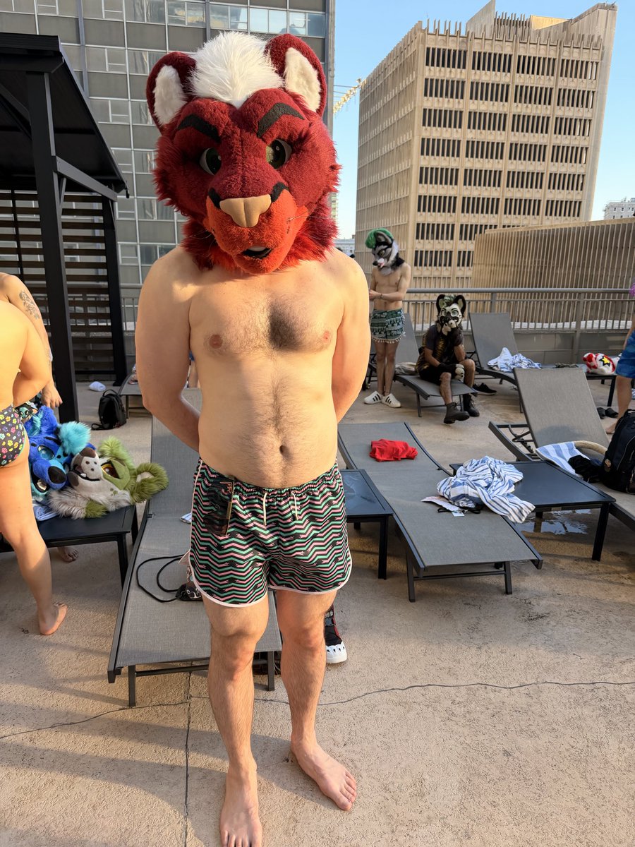 Chrys ➡️ FWA tweet media