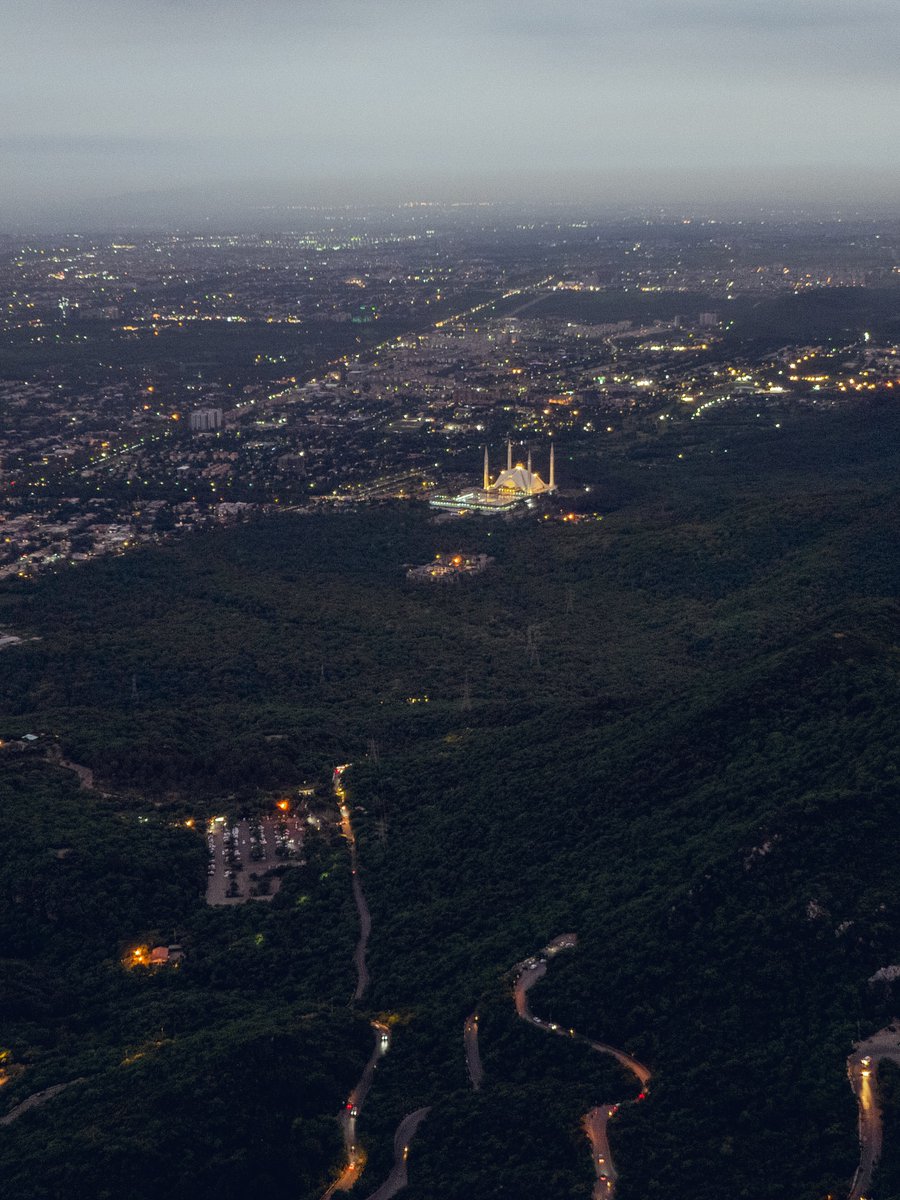 The World tweet media