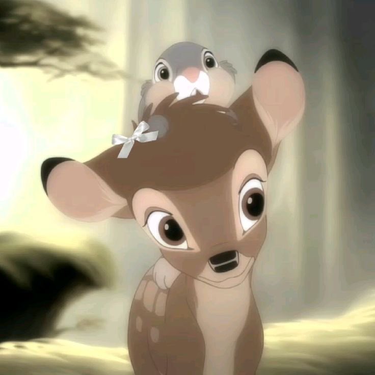 Lily🎀 tweet media