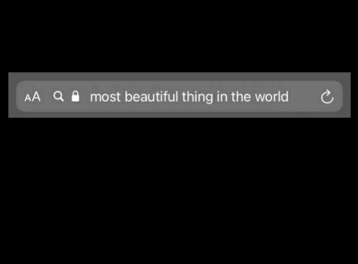 capt. Ameeya, kintara🧜‍♀️ tweet media