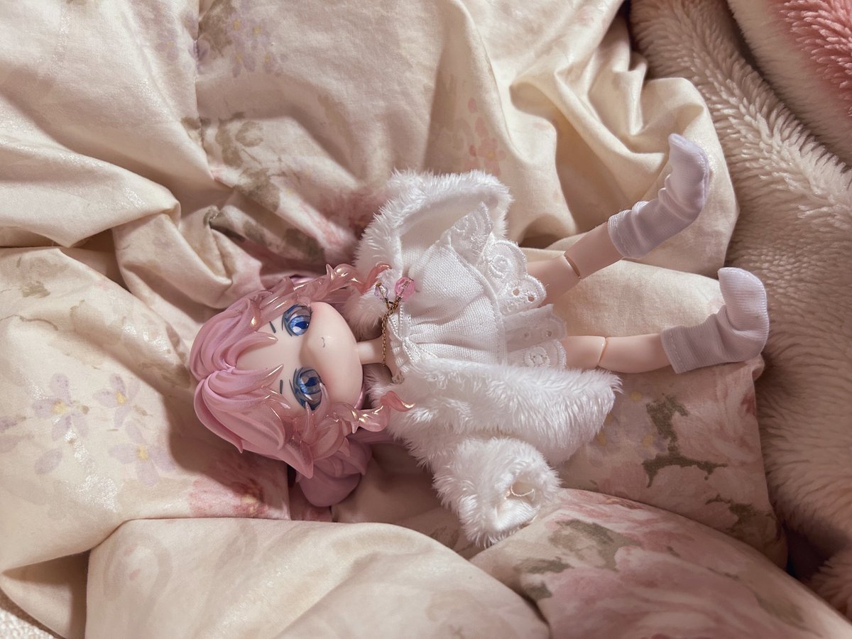 くまのすけ@ドール垢 tweet media