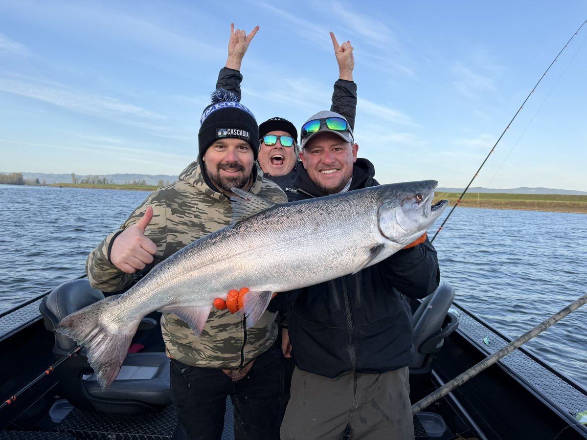 Taren Feist tweet media