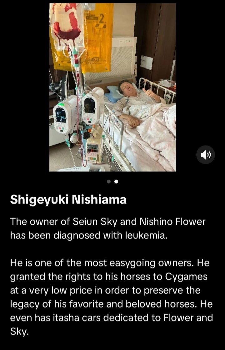 Seiun Sky tweet media