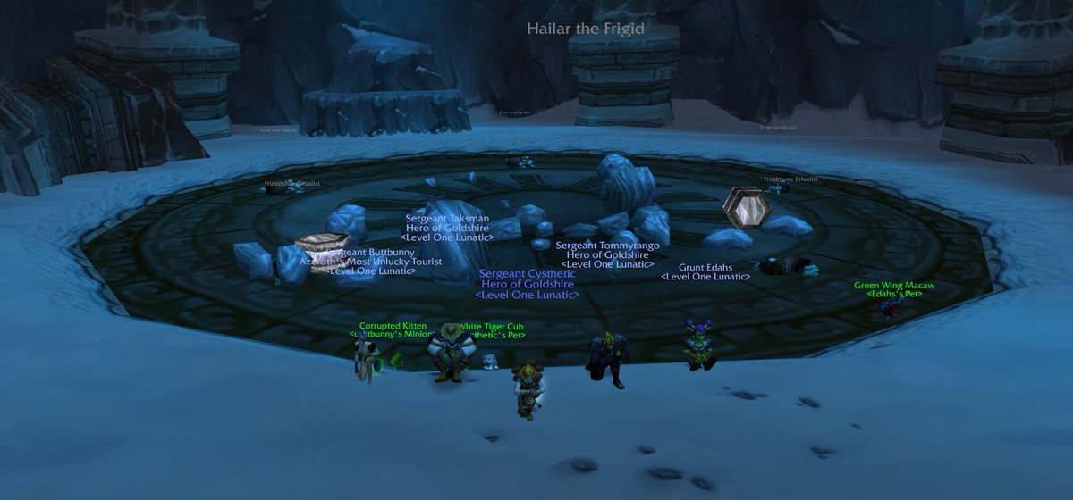 Turtle WoW tweet media