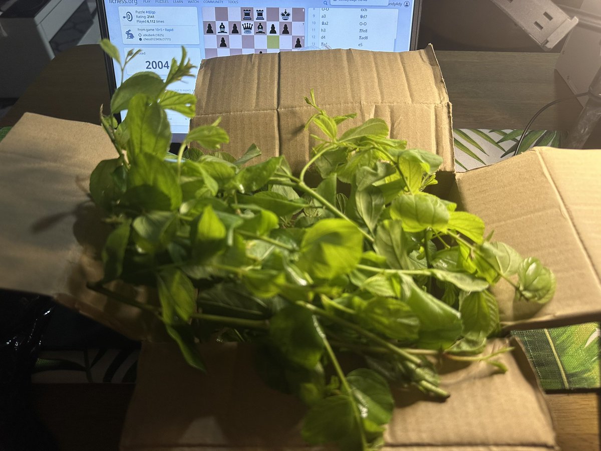 Randy Ady tweet media