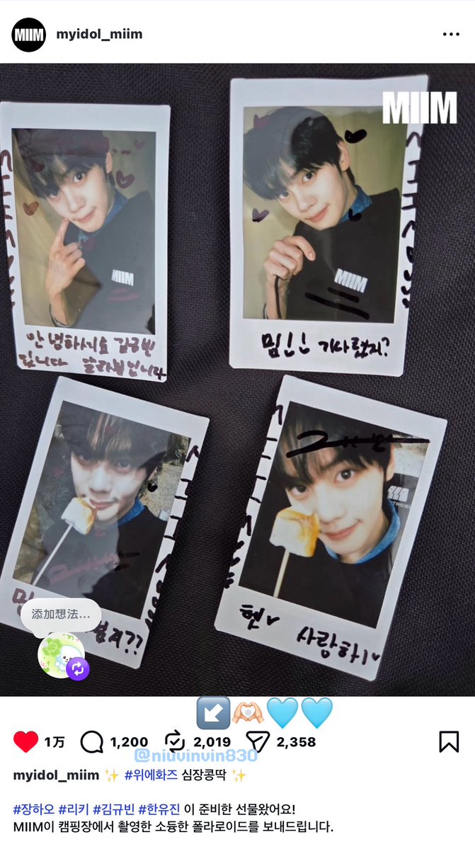 niuvinvin830 tweet media