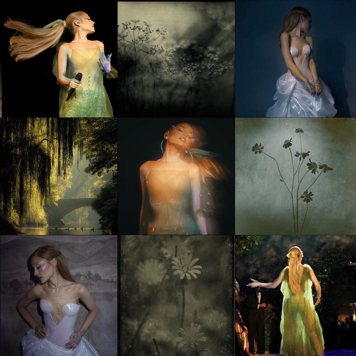 kaylee is seeing ariana☼ tweet media