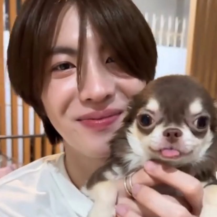 กินส้ม🍊 tweet media