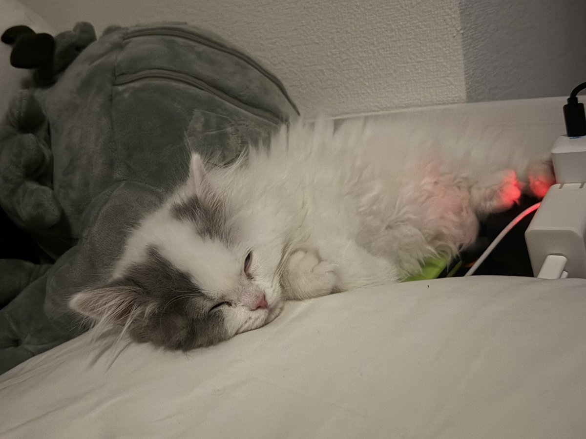 にーと tweet media