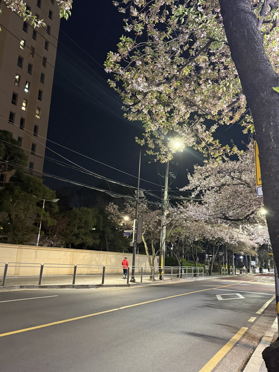 mint gloss⁷ ⊙⊝⊜ 🪭 tweet media