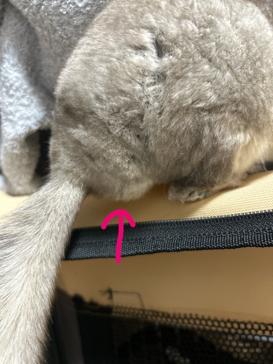ままはちーちゃんのここのもっこりがすきなんだぁ