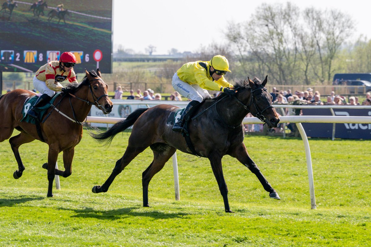 Kingsdown Stables tweet media