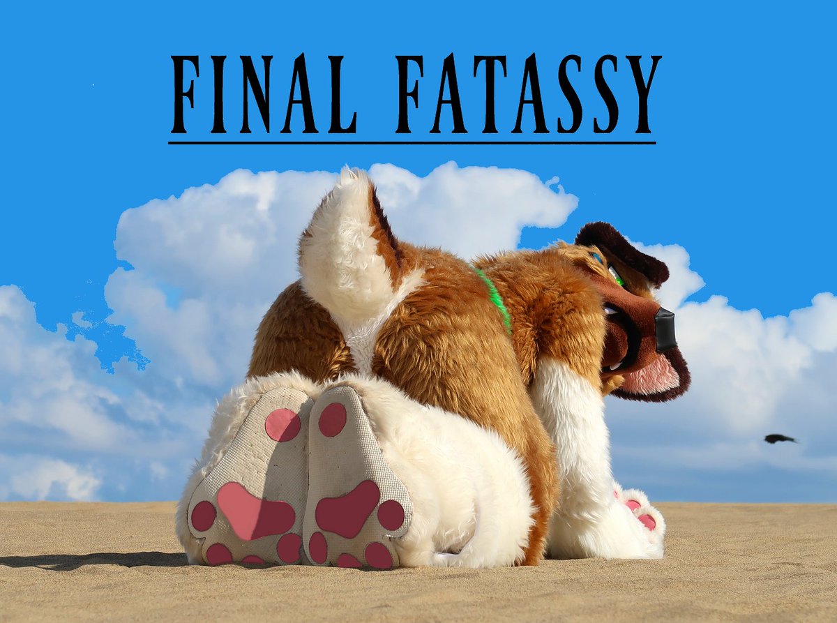 🌯TOTAN🌯 tweet media