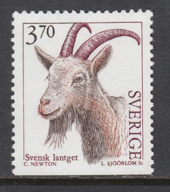 FRENCHRAPUS 🇺🇸 tweet media