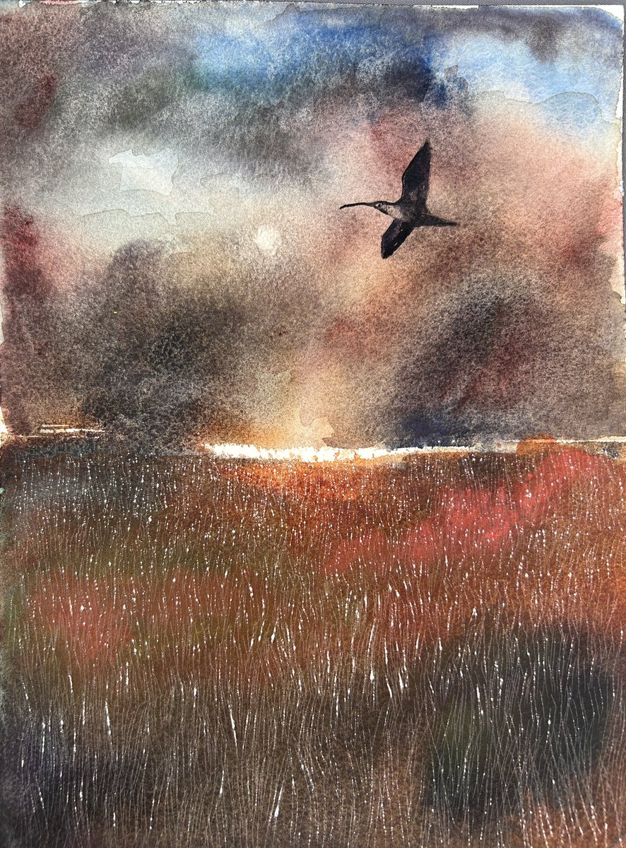 Jim Moir tweet media