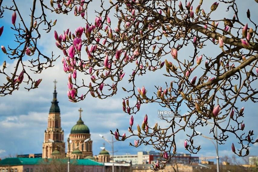 Kate from Kharkiv tweet media