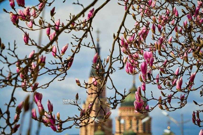 Kate from Kharkiv tweet media