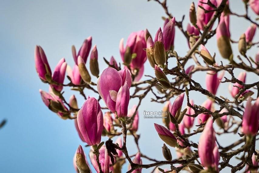 Kate from Kharkiv tweet media