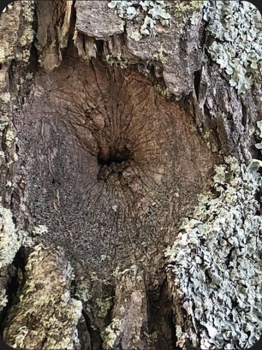 ~Ҩu€€И ߓ0 ᭒᭕dП€§§~ tweet media