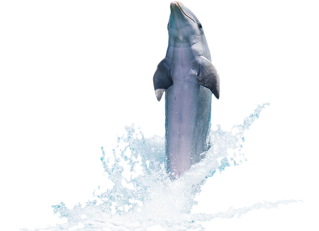 ブラックアイ tweet media