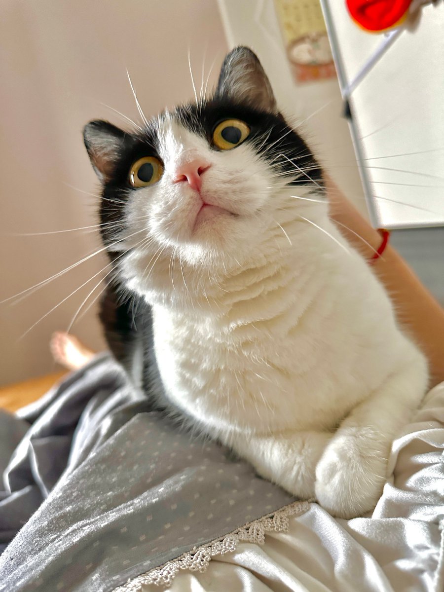 rafael angel retana tweet media