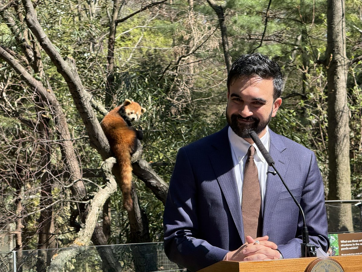 Anna Bahr tweet media