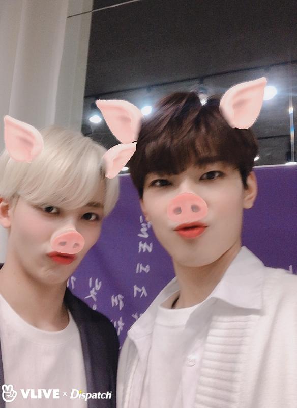 🍓🍒🐈⬛ tweet media