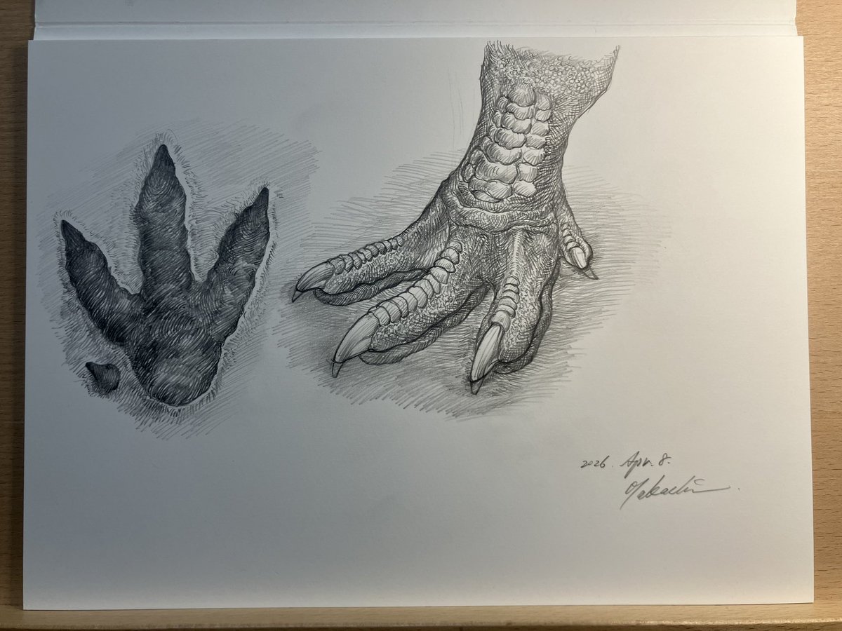 小田　隆　Oda Takashi tweet media