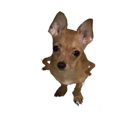 Jackie 🌸 tweet media